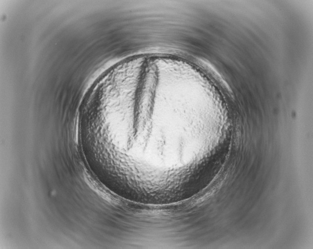 X0000087561276200705112138
