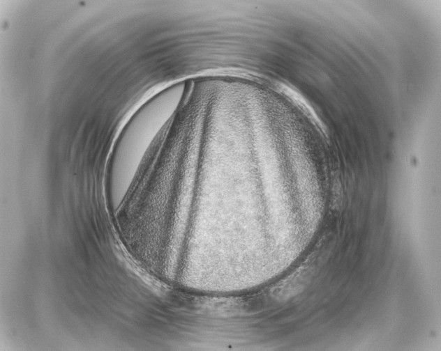 X0000087561284200705112138