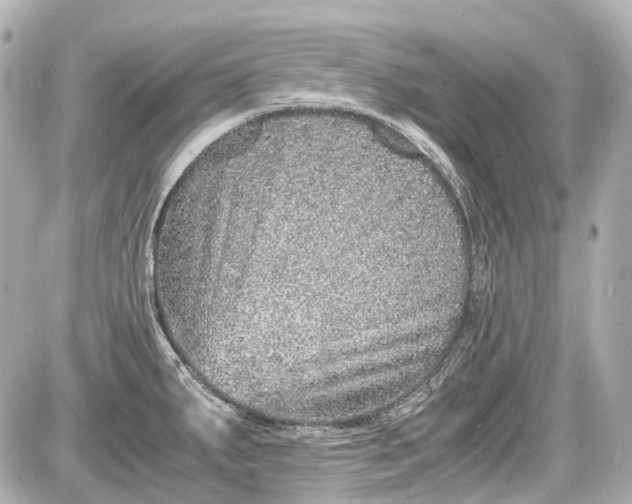 X0000087561287200705112138