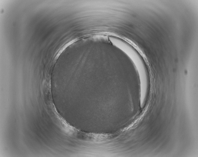 X0000087561289200705112138