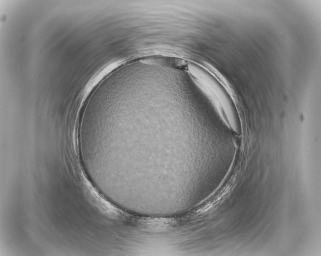 X0000087561293200705112138