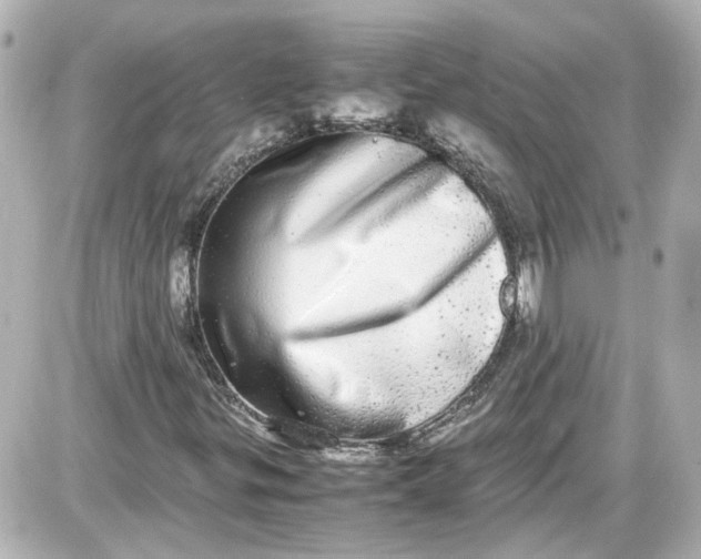X0000087561299200705112137