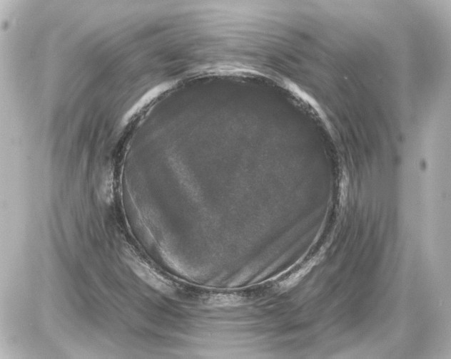X0000087561306200705112137