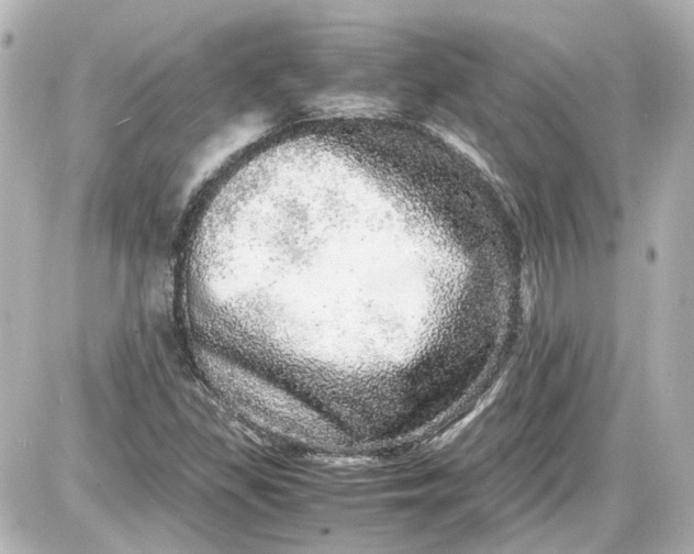 X0000087561309200705112137