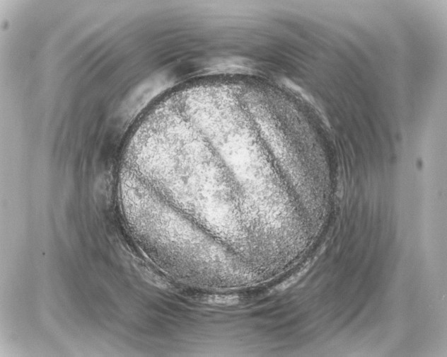 X0000087561313200705112137