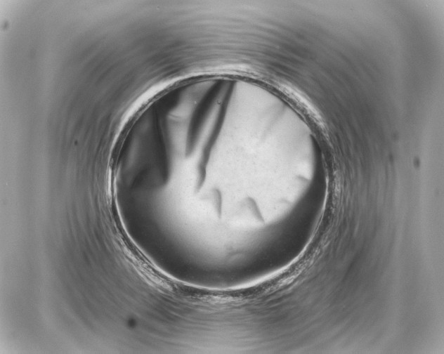 X0000087561324200705112137