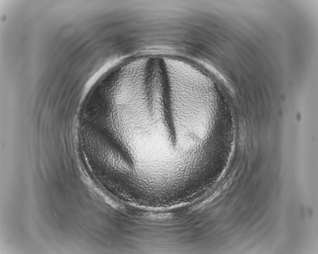 X0000087561325200705112137