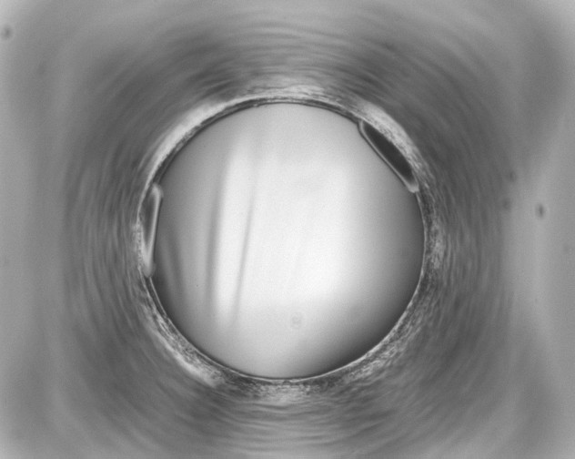 X0000087561332200705112137