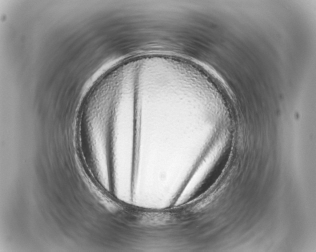 X0000087561333200705112137
