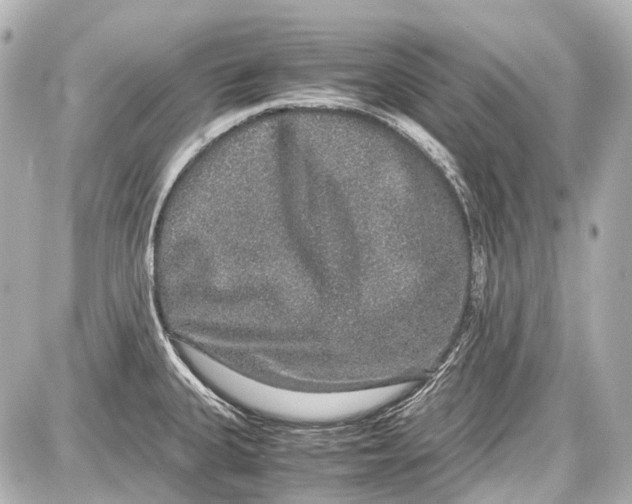 X0000087561335200705112137
