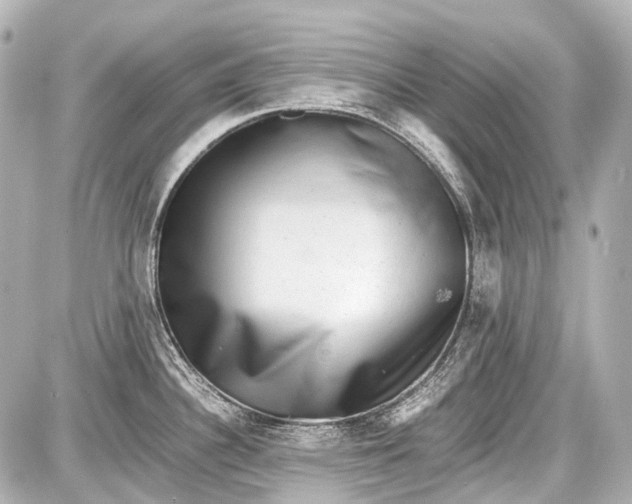 X0000087561340200705112138