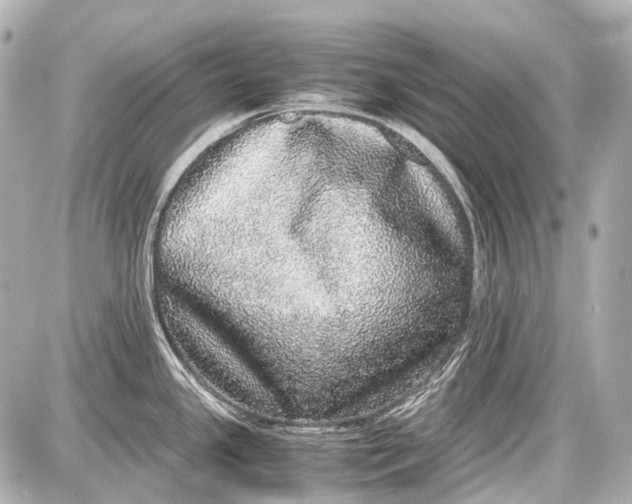 X0000087561341200705112138