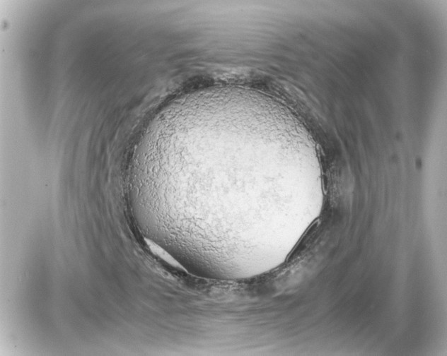 X0000087561345200705112137