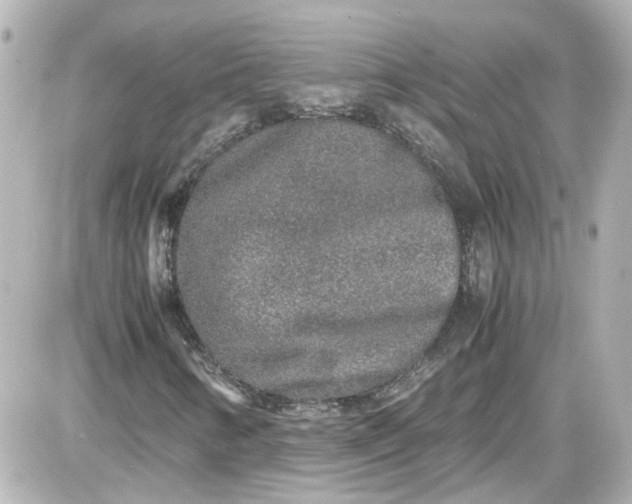 X0000087561346200705112137