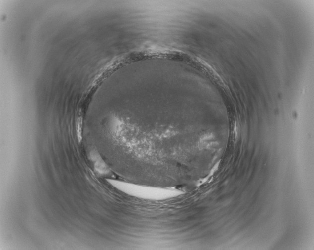 X0000087561348200705112137