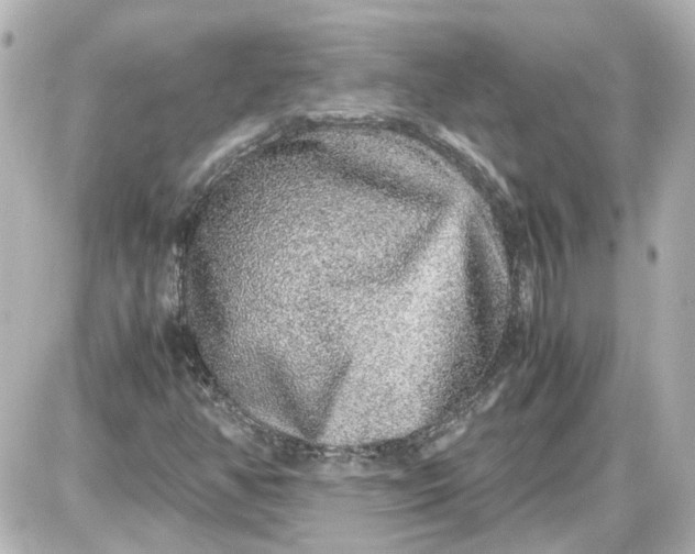 X0000087561350200705112137