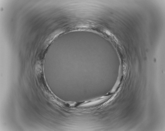 X0000087561353200705112137