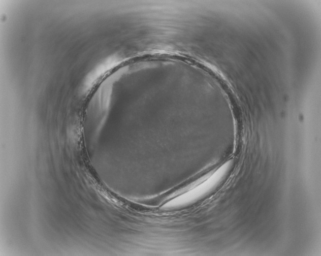 X0000087561359200705112137
