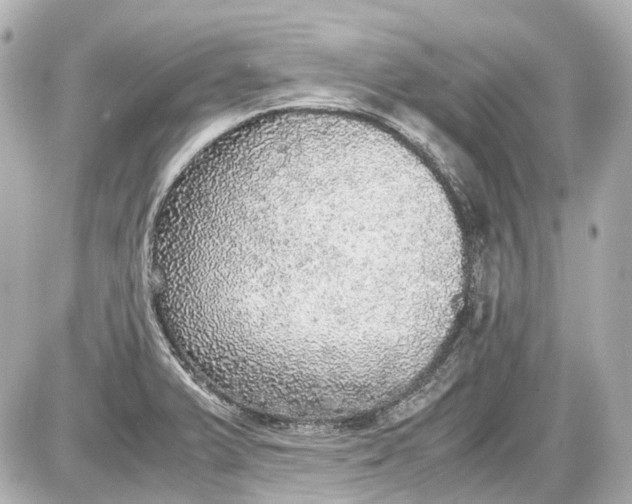X0000087561375200705112136