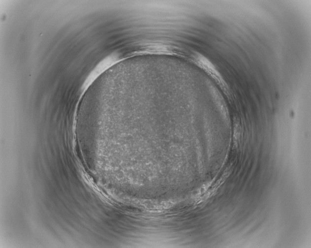 X0000087561378200705112136