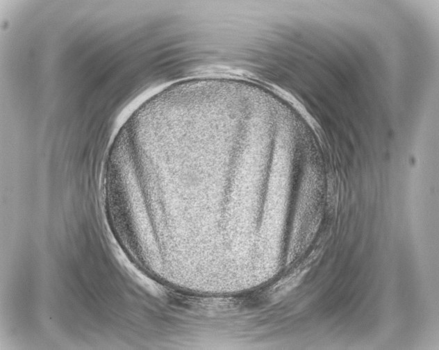 X0000087561387200705112136