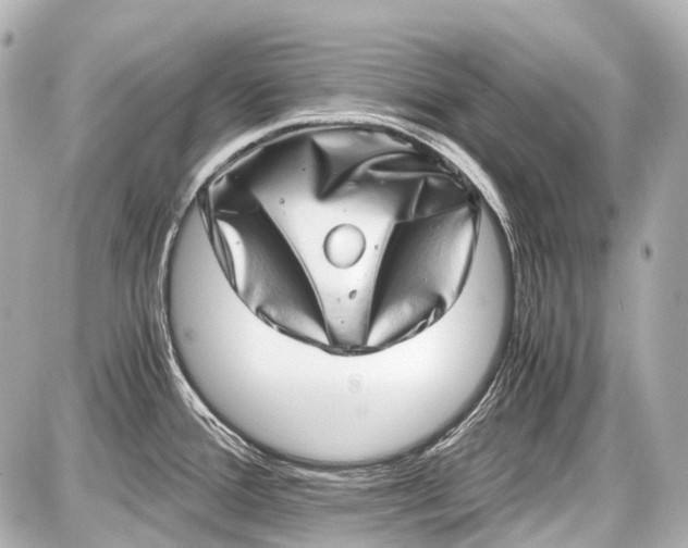 X0000087561388200705112136