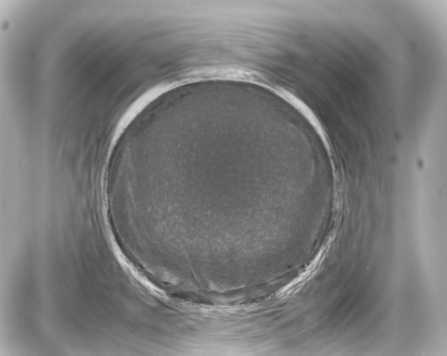 X0000087561389200705112136