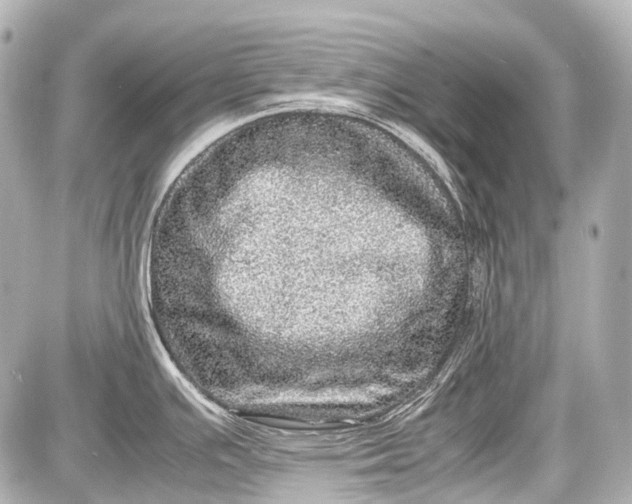 X0000087561391200705112136