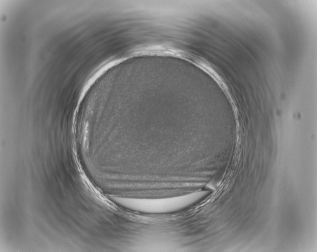 X0000087561392200705112136