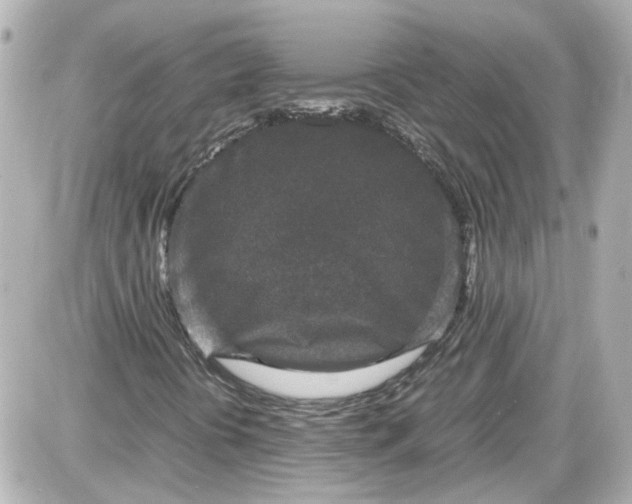 X0000087561394200705112135