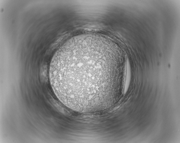 X0000087561396200705112135