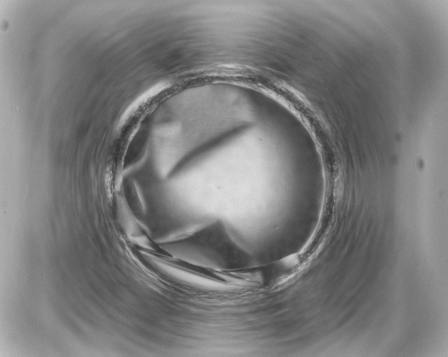 X0000087561402200705112135