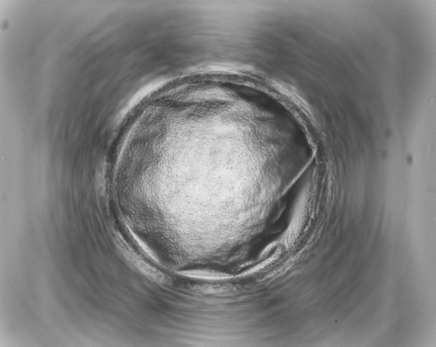 X0000087561404200705112135