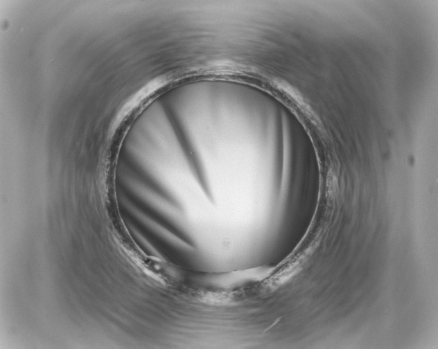 X0000087561410200705112136