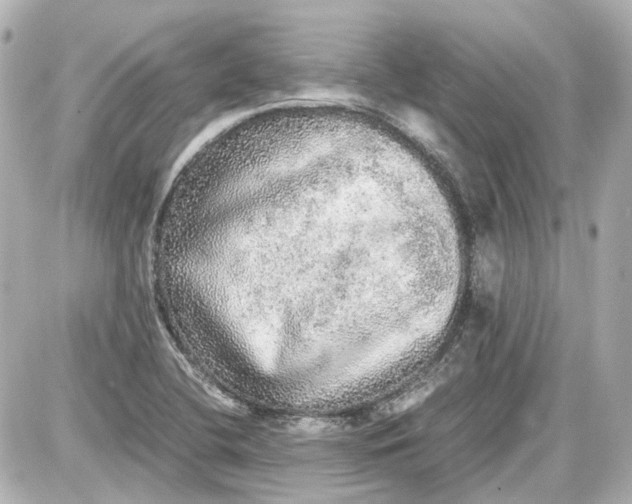 X0000087561412200705112136