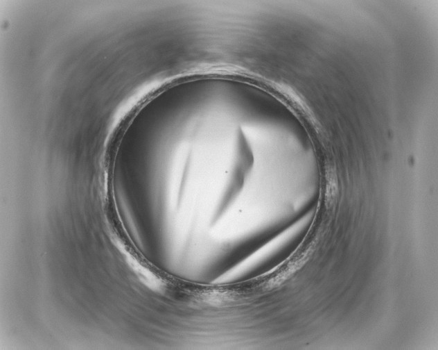 X0000087561414200705112136