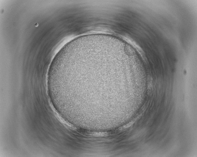 X0000087561423200705112136