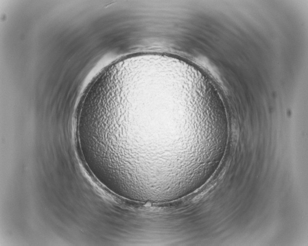 X0000087561424200705112136