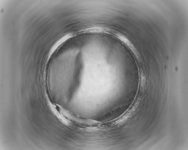 X0000087561426200705112136