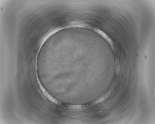 X0000087561431200705112136
