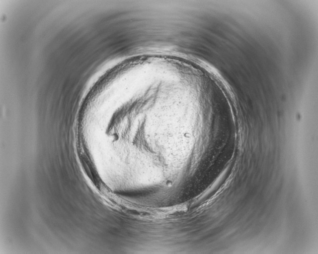 X0000087561432200705112136