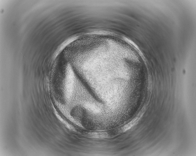 X0000087561433200705112136
