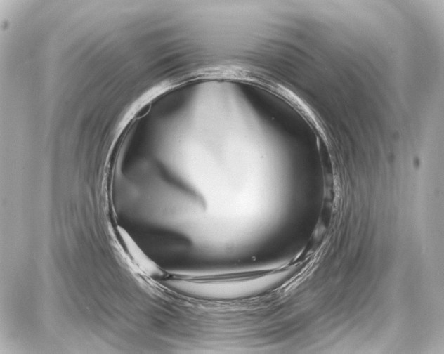 X0000087561434200705112136