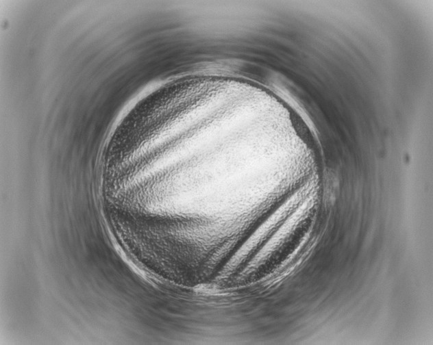 X0000087561437200705112136