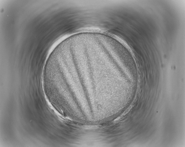 X0000087561440200705112136