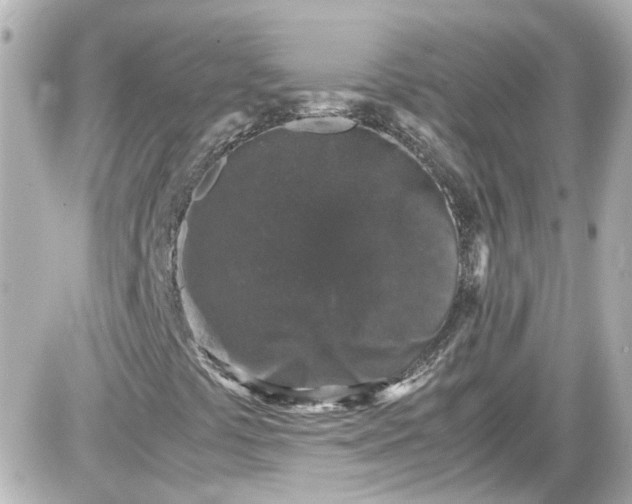 X0000087561441200705112135