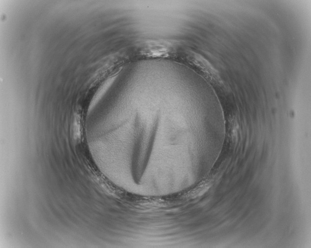 X0000087561442200705112135