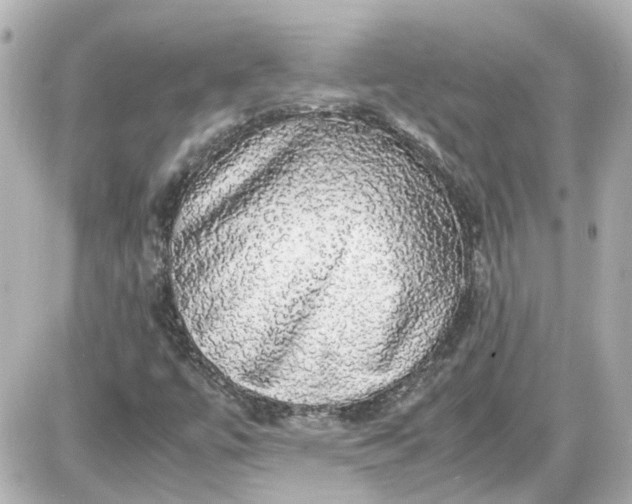 X0000087561447200705112135
