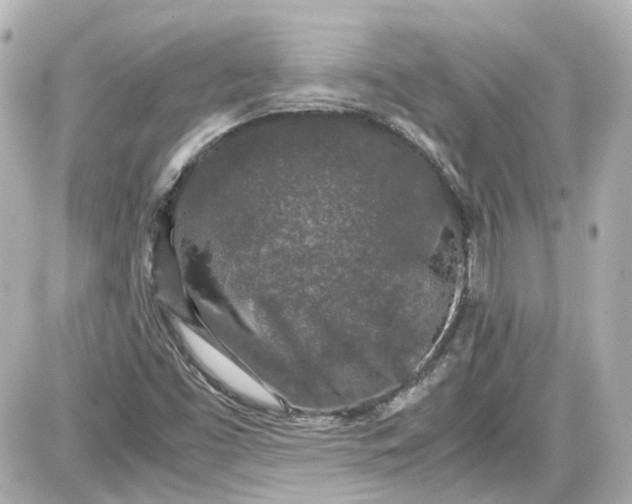 X0000087561453200705112135