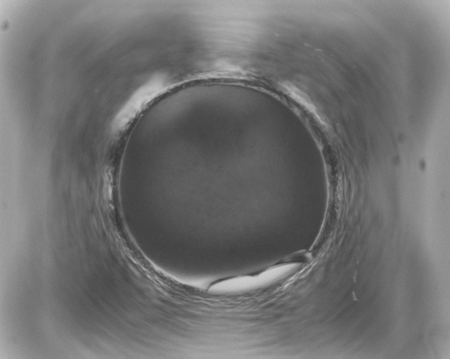 X0000087561455200705112135